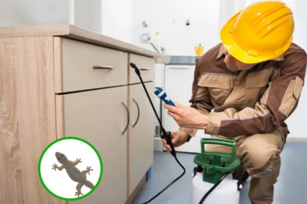 LIZARD CONTROL SERVICES