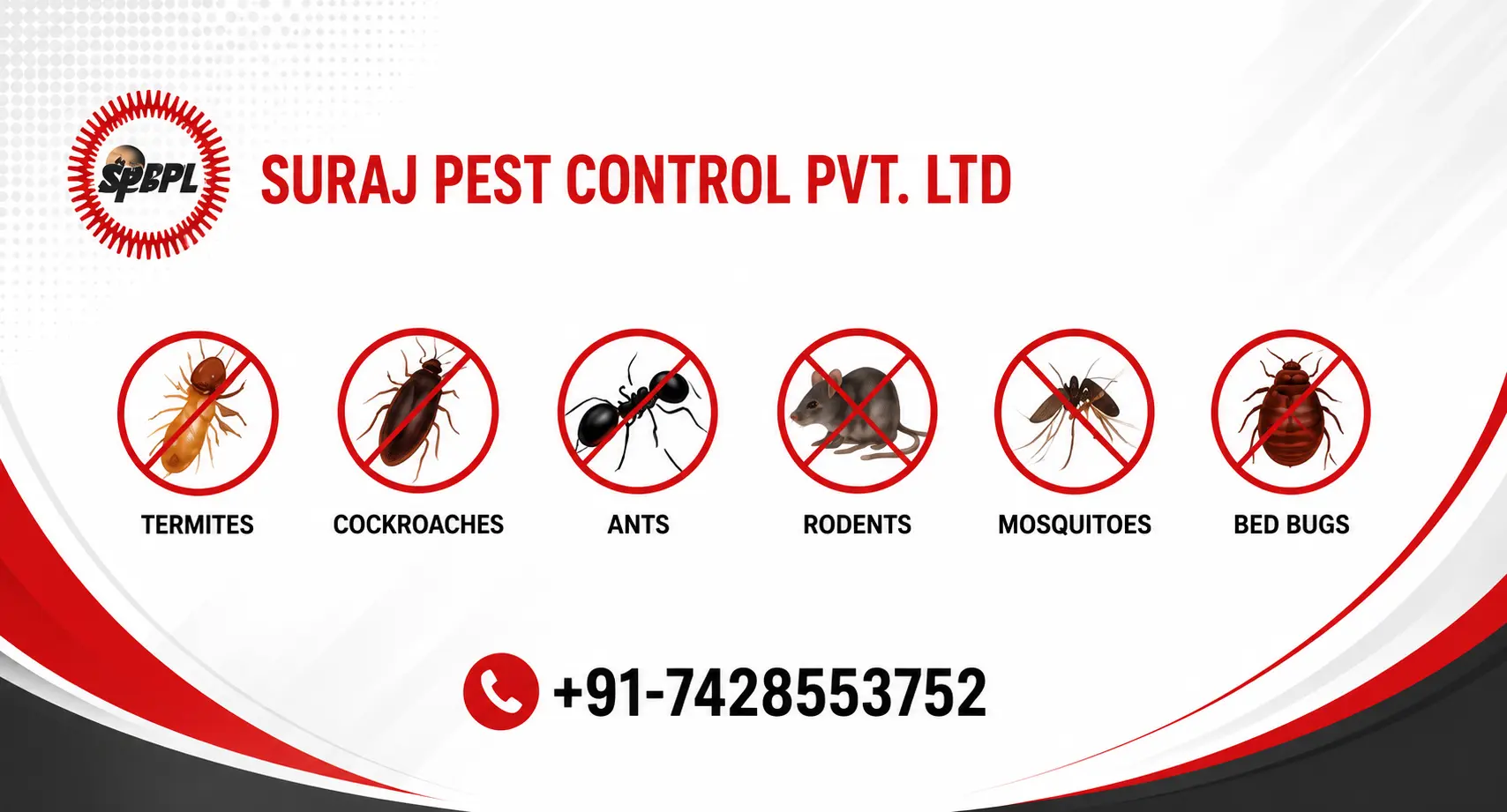 Pest Control Services in Grater Noida