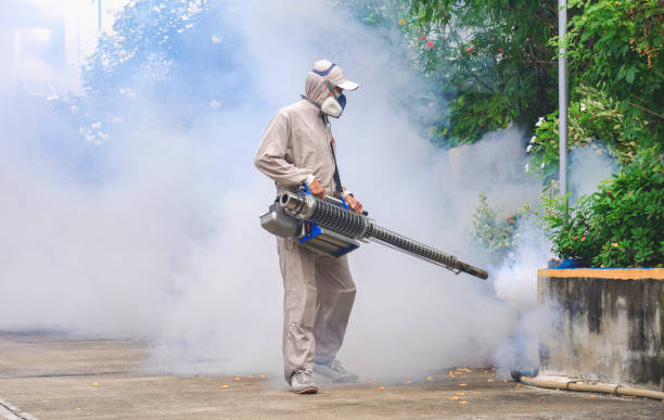 pest control Delhi