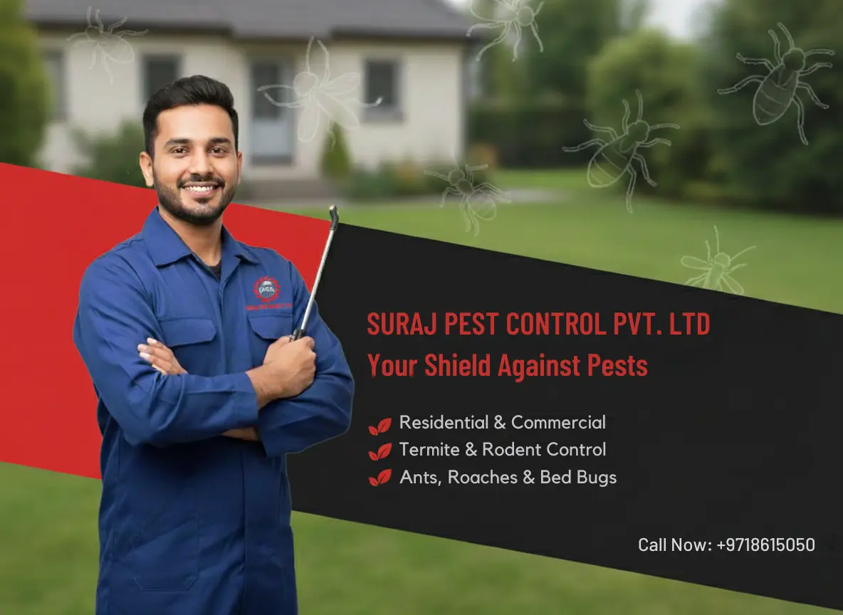 Suraj Pest Control in Noida