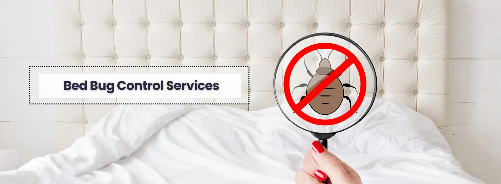 Bed Bug Treatment