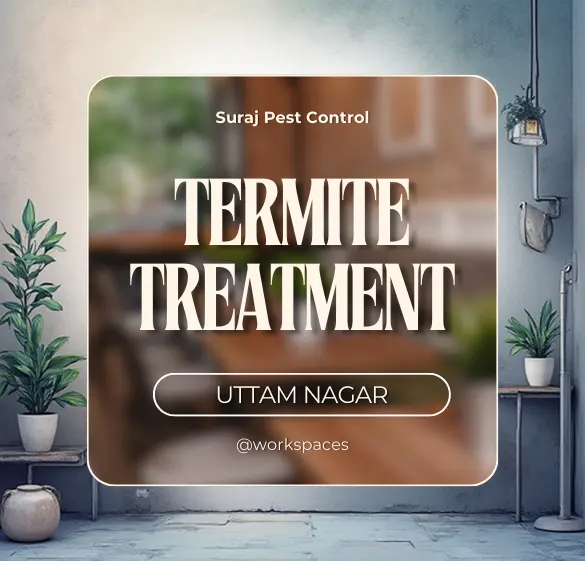 Anti-termite Treatment in Uttam Nagar